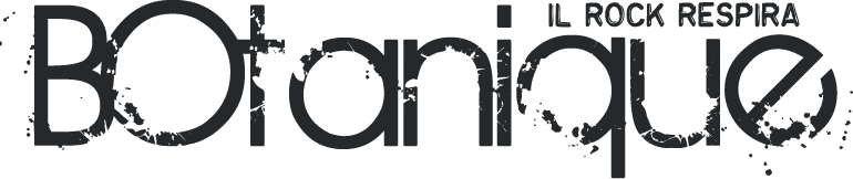 bonanique